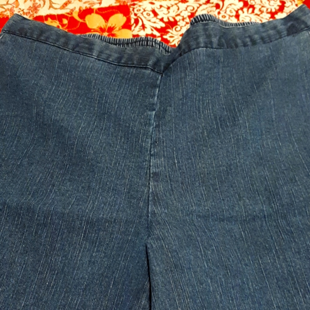 Made of comfort! Alfred Dunner women's elastic waist jeans.